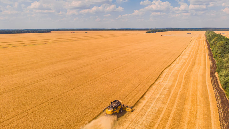 Сталий розвиток та екологія: як переробка олійних культур впливає на агросектор регіону