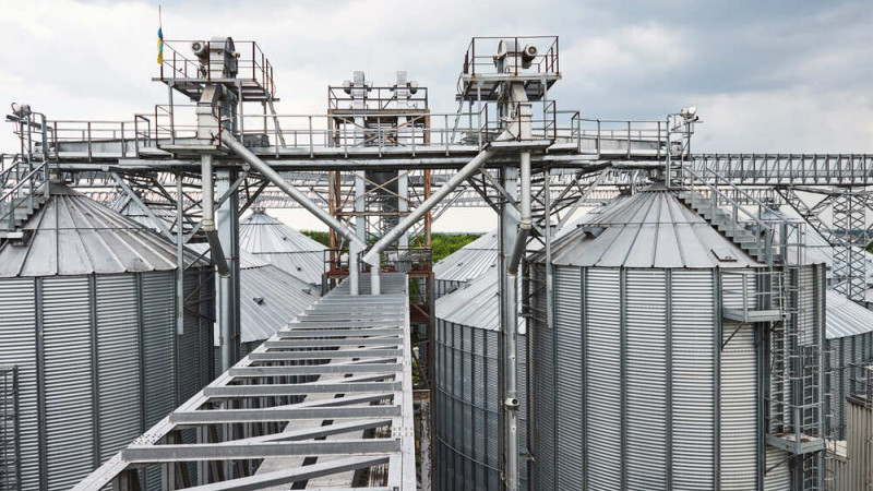 Від поля до олії: як працює сучасна лінія переробки Ніжинського жиркомбінату