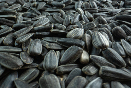 Логістика та зберігання соняшника