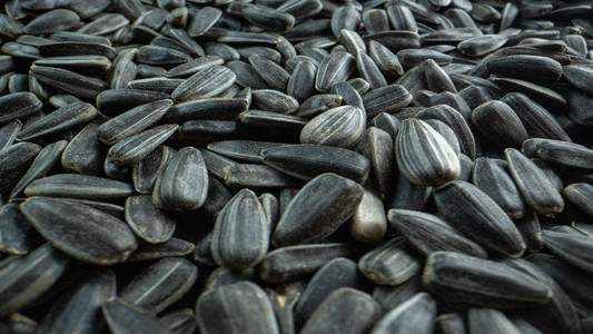 Логістика та зберігання соняшника