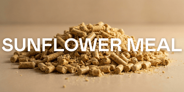 Sunflower Meal