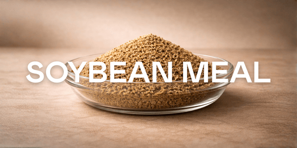 Soybean Meal