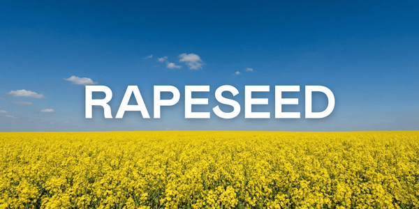Rapeseed