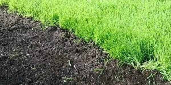 Мінеральні добрива