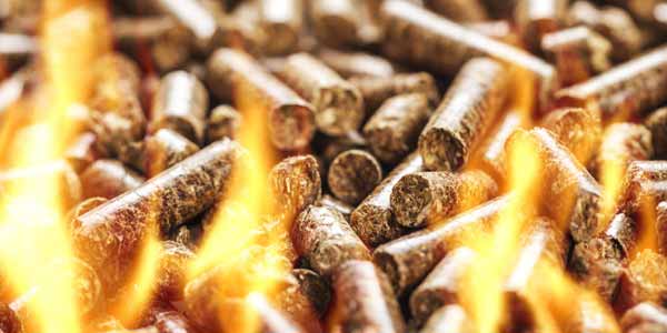 Паливна пелета