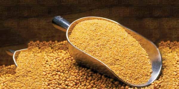 Шрот соєвый