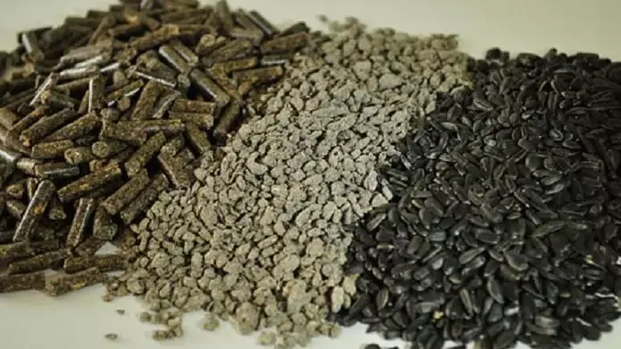 Порівняльний аналіз: соєвий шрот vs соняшниковий шрот