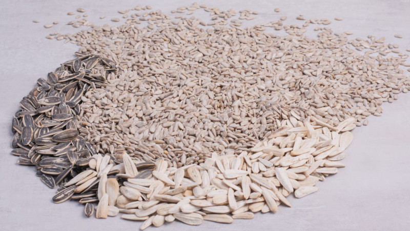 Чому важливо співпрацювати з надійним переробником соняшника